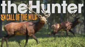 скачать игру The Hunter Call Of The Wild бесплатно The Hunter Call Of The Wild Multiplayer Deer Hunting Thehunter Call Of The Wild Beta Gameplay Youtube