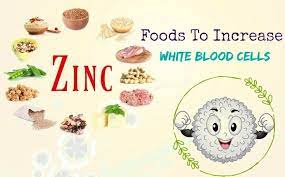Foods That Increase White Blood Cells. Immune Boosters