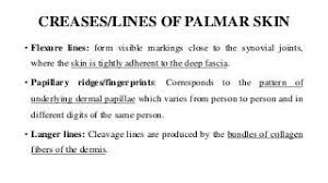 Understanding Grain Structure And Direction When Plate Bending