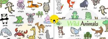 7 sinif unit 4 wild animals ingilizce aktivite tintin sinif ingilizce