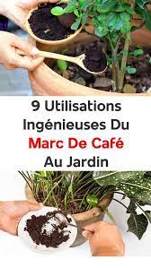 9 utilisations ingenieuses du marc de cafe au jardin marc de cafe soin pour les orchidees engrais naturel