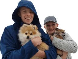 Aspen quick care is an urgent care center and medical clinic located at 250 country club pkwy in spring creek,nv. Aspen Vet Clinic Veterinarian In Spring Creek Elko County Nevada