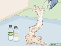 We did not find results for: 3 Easy Ways To Preserve Driftwood Wikihow