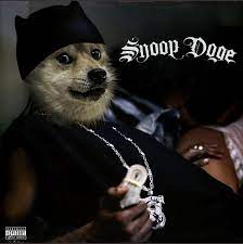 Elon musk has 25 minutes to save his $doge or it's going to pass the moon on its way back to earth. Snoop Dogg Just Pumped The Dogecoin Highxtar