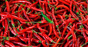 Then, soak the skin in milk or another dairy product. The Cool Science Of Hot Peppers Science News For Students