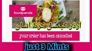It was okay until the very last steps. How To Cancel Order In Foodpanda App
