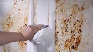 Are you dealing with challenging grimes and greases in your kitchen? Kitchen Bubble Cleaner Review 2020 Does It Work Youtube