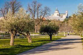 Trato amistoso y ambiente agradable. Casa De Campo De Madrid Que Ver Y Hacer Como Llegar Horario Entrada