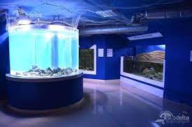 Complexul muzeal de ştiinţele naturii galaţi. Centrul Muzeal Ecoturistic Delta Dunarii