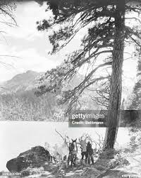 744 Bobby Macdonald Stock Photos, High-Res Pictures, and Images