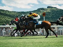 It's nice to have something a bit different to think about, and this pace information is available in very few places currently, so you really do have a head start on almost all. Checking Out Sports Around The World An Occasion For Each Country Itinerant Fan