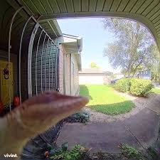 He shared the love for animals all his life, stemming from being raised at the queensland reptile and fauna park. My Uncle Got A Notification That Someone Was Ringing His Doorbell This Was The Culprit Bestbuylickingood