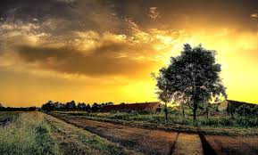 Fondos De Pantalla De Paisajes Bonitos Fondosmil Una seleccion unica de imagenes para fondos de pantalla, descargar gratis a tu movil o pc. fondos de pantalla de paisajes bonitos