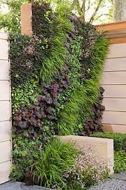 Lebende Mauern Sind Ein Refugium Fuer Vogel Innenhofe Kleine Garten Und Terrassen Garten Garten Ideen Und Vertikaler Garten