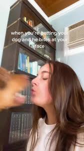 Dog Wants to Bite Lady Owner