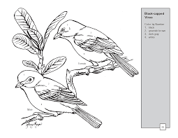 These coloring pages also help your kids gain mental and creative skills through the many functions that they serve. Drawing Birds 11981 Animals Printable Coloring Pages