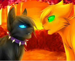 pin na doske warrior cats art