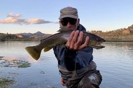 Look for pmd's early and caddis in the evening to be meal of choice. Guided Montana Fly Fishing Trips Davidson River Outfitters