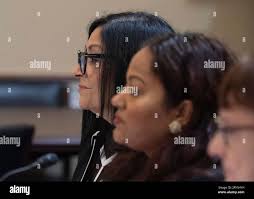 Joann hi-res stock photography and images