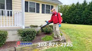 101 north boardwalk, rehoboth beach, de 19971. Mosquito Pest Control Quote Dover De Accurate Termite Pest Control