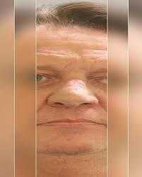 Weekly Safety Report: Christmas Lights Vandalism, Drug and Gun Possession,  and Domestic Violence Shake Delaware