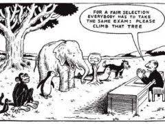 Educational System Comic 240 180 Education System Education Quotes Teacher Humor