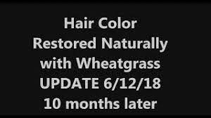 It does all the magic in keeping you healthy when you drink a glass of wheat grass juice daily in the morning for wheatgrass health benefits. Hair Color Restored Naturally With Wheatgrass Update Youtube