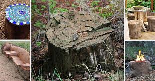 Using them and turning the old tree stump into a to removing trees and their tree stumps can be a major, expensive hassle, and the process often. 17 Surprising Ways You Can Use Tree Stumps To Decorate Your Home