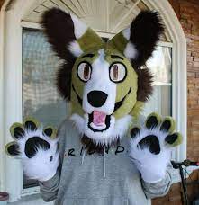 BRAND NEW green canine dog mini partial fursuit costume premade head,paws  & tail | eBay