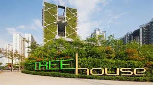 See more ideas about design, public house, house. Singapore S Tree House Vertical Gardens Break Guinness World Record Building Design Construction