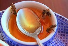 Can Honey Go Bad Can It Go Bad