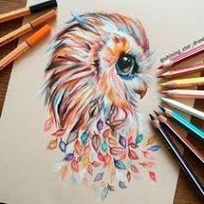 Get it as soon as tue, jan 19. 40 Creative And Simple Color Pencil Drawings Ideas Color Pencil Drawing Simple Color Pencil Drawing Ideas Owls Drawing