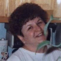 Cindy Sue Scholz Obituary (2024)
