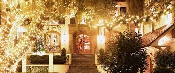 Wrapping Trees With Christmas Lights Christmas Lights Etc Christmas Lights Outdoor Christmas Decorations Outdoor Christmas