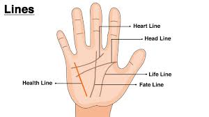 If life line on palm is broken on right hand palm but not broken on left hand then it. Astrosage Magazine Palmistry Discover The Health Secrets Of Your Life