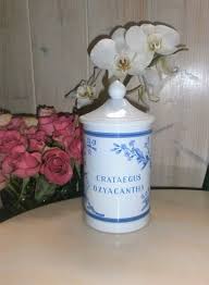 Vintage Apothecary Jar Crataegus Oxyacantha Earthenware Of Longchamp France Vintage Pot D Apothicaire Crataegus Oxyacantha Faience Lonchamp Apothecary Jars Jar Decorative Jars