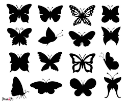 Pin On Butterflies