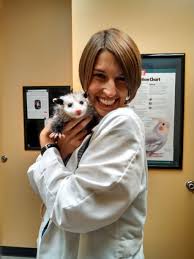 Internship, small animal medicine & surgery dedicated to compassionate, collaborative care, dr. Avian And Exotic Animal Care Home Facebook