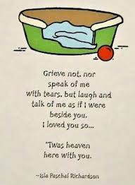 I truly hope these pet loose quotes can offer you some comfort. 350 Pet Loss Quotes Ideas Quotes Pet Loss Loss Quotes