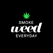Snoop dogg smoke weed everyday hd (dubstep remix) antoine daniel. Stream Dr Dre Feat Snoop Dogg Smoke Weed Everyday Brutal Killer Especial Mix Free Download By Brutal Killer Listen Online For Free On Soundcloud