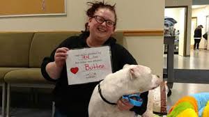 You've come to the right place. No Kill Shelters Know Your Options Before You Adopt Or Surrender A Pet Toledo City Paper