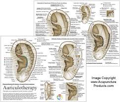 Auriculotherapy Ear Acupuncture Chart French System Chart