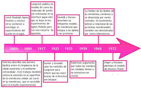 Pin En Linea Del Tiempo