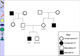 Because of this and more. Students Use Embedded Drawing Tools To Create Eric S Family Tree Download Scientific Diagram