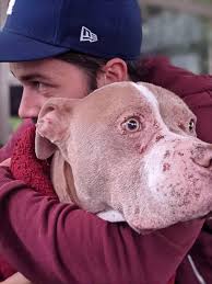 Drone used to locate and rescue a dog