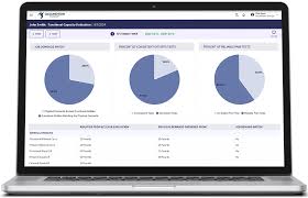 Image result for Functional Capacity Evaluation