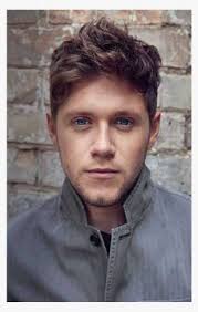 Following the band's hiatus in 2016, horan signed a recording deal as a solo artist with capitol records. Flicker Poster Niall Horan Flicker Deluxe Album Png Image Transparent Png Free Download On Seekpng