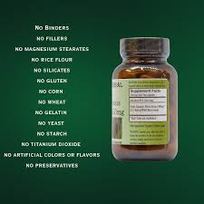 Image result for Typha capensis