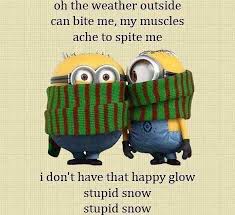 The newest celeb photos, fashion photos, party pics, celeb families, celeb babies, and all of your favorite stars! Pin By Kenda Secoy On Winter Blues Minions Funny Funny Minion Quotes Bones Funny