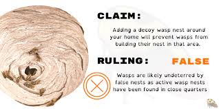 Maybe you would like to learn more about one of these? Do Wasp Nest Decoys Work Ask An Entomologist